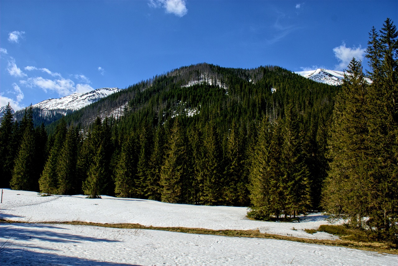 Tatry, Kościeliska Slėnis, Žiema, Pavasaris, Turizmas, Vakarų Tatras, Kraštovaizdis, Gamta, Akmenys, Vaizdas