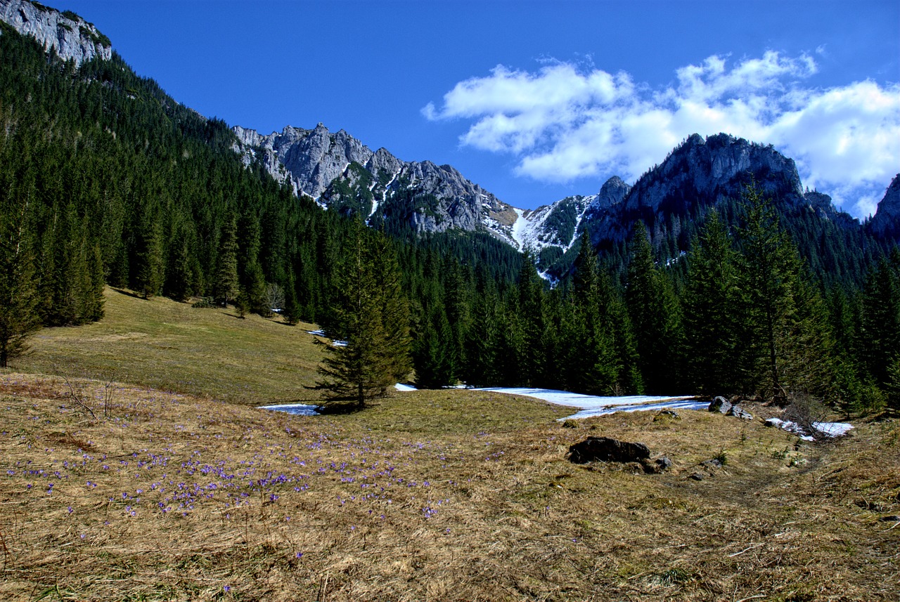 Tatry, Kościeliska Slėnis, Žiema, Pavasaris, Turizmas, Vakarų Tatras, Kraštovaizdis, Gamta, Akmenys, Vaizdas