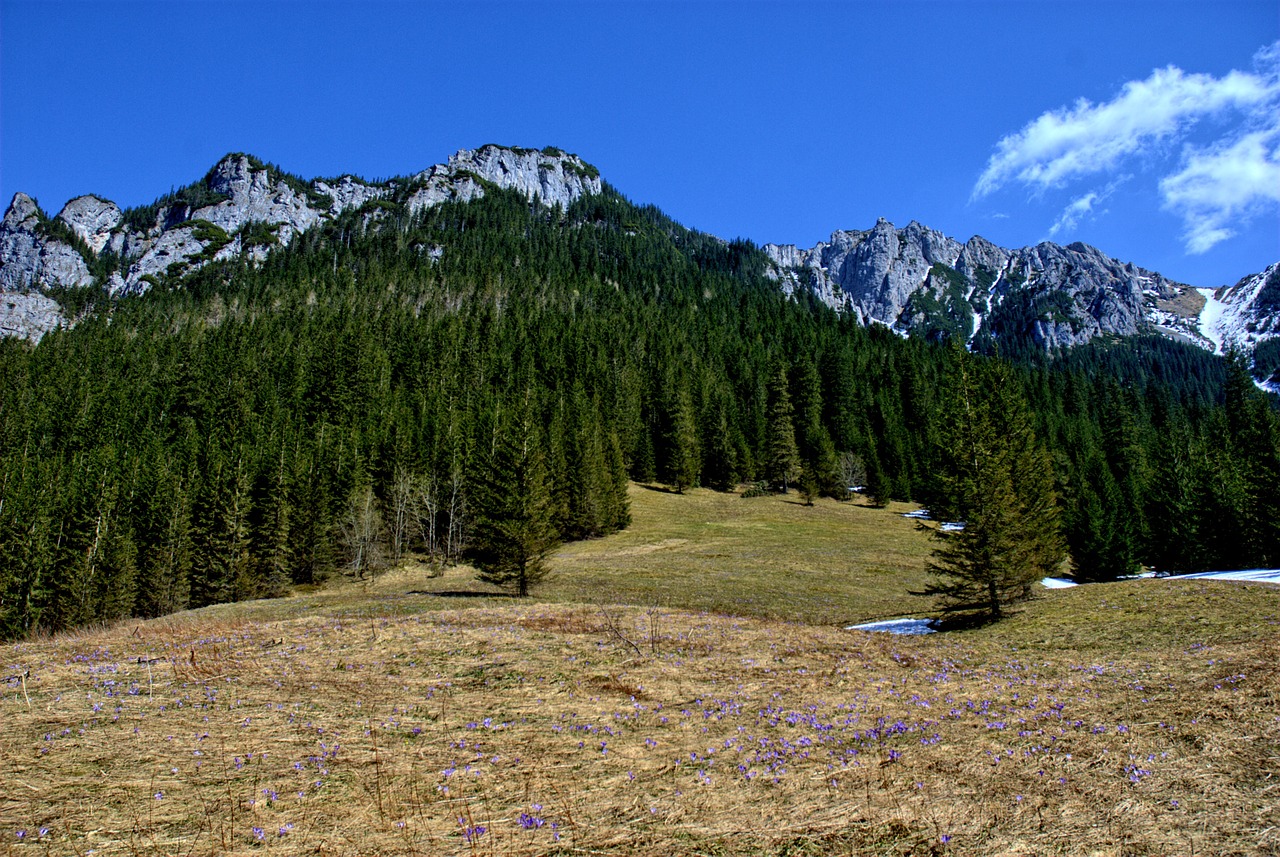 Tatry, Kościeliska Slėnis, Žiema, Pavasaris, Turizmas, Vakarų Tatras, Kraštovaizdis, Gamta, Akmenys, Vaizdas