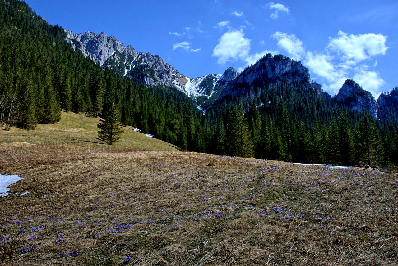 Tatry, Kościeliska Slėnis, Žiema, Pavasaris, Turizmas, Vakarų Tatras, Kraštovaizdis, Gamta, Akmenys, Vaizdas