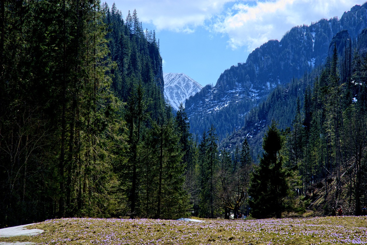 Tatry, Kościeliska Slėnis, Žiema, Pavasaris, Turizmas, Vakarų Tatras, Kraštovaizdis, Gamta, Akmenys, Vaizdas