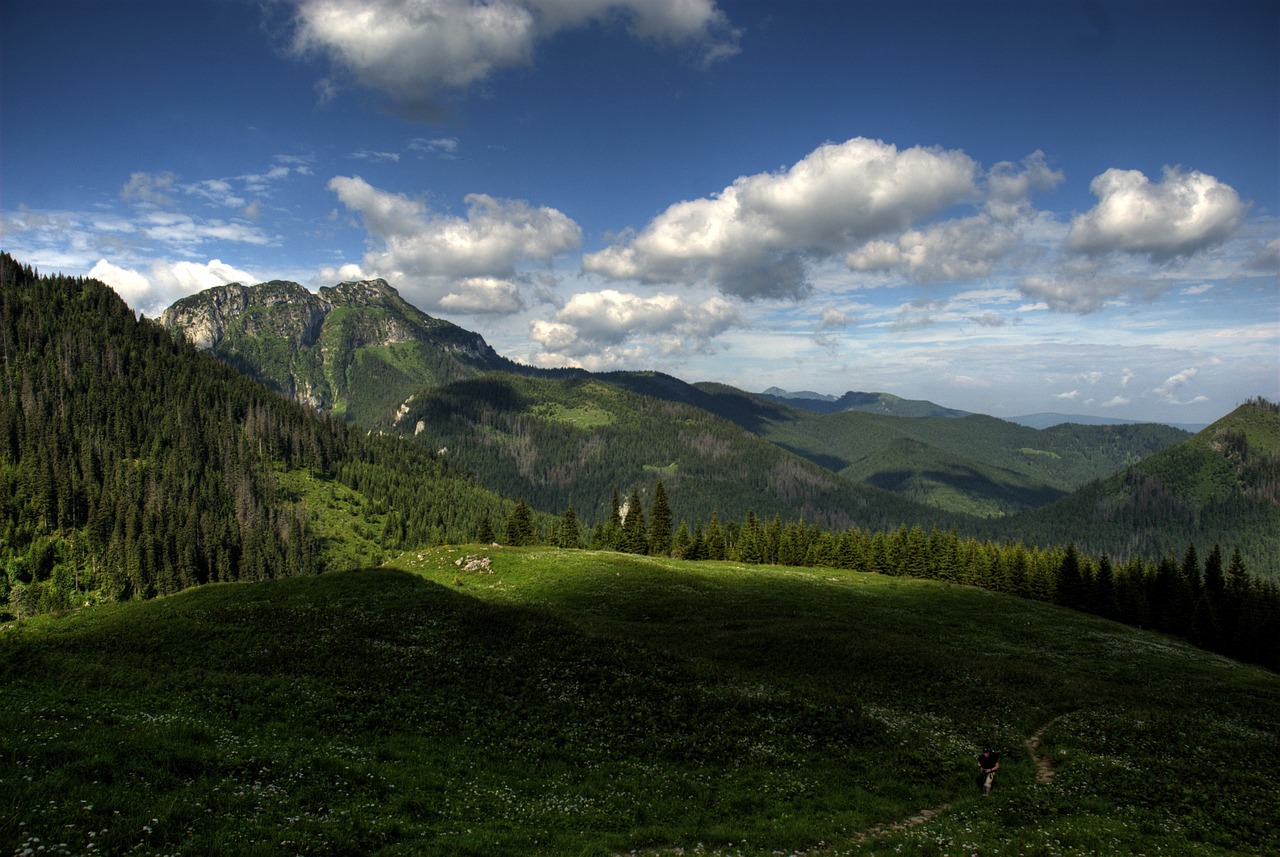 Tatry, Lenkija, Czerwone Wierchy, Miškas, Kalnai, Vistas, Kraštovaizdis, Viršūnės, Dangus, Debesys