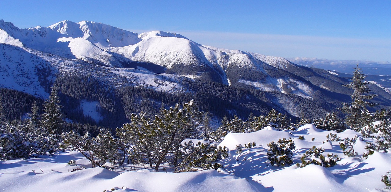 Tatry, Kalnai, Žiema, Lenkija, Sniegas, Balta, Kraštovaizdis, Spygliuočių, Nemokamos Nuotraukos,  Nemokama Licenzija