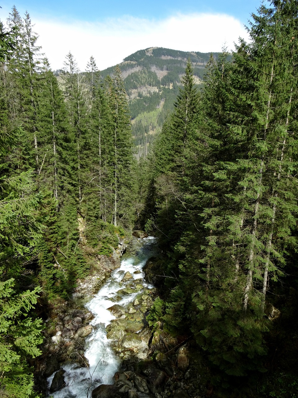 Tatry, Kalnai, Aukštas Tatras, Kraštovaizdis, Torrent Kalnas, Nacionalinis Parkas, Gamta, Vanduo, Pavasaris, Pėsčiųjų Takai