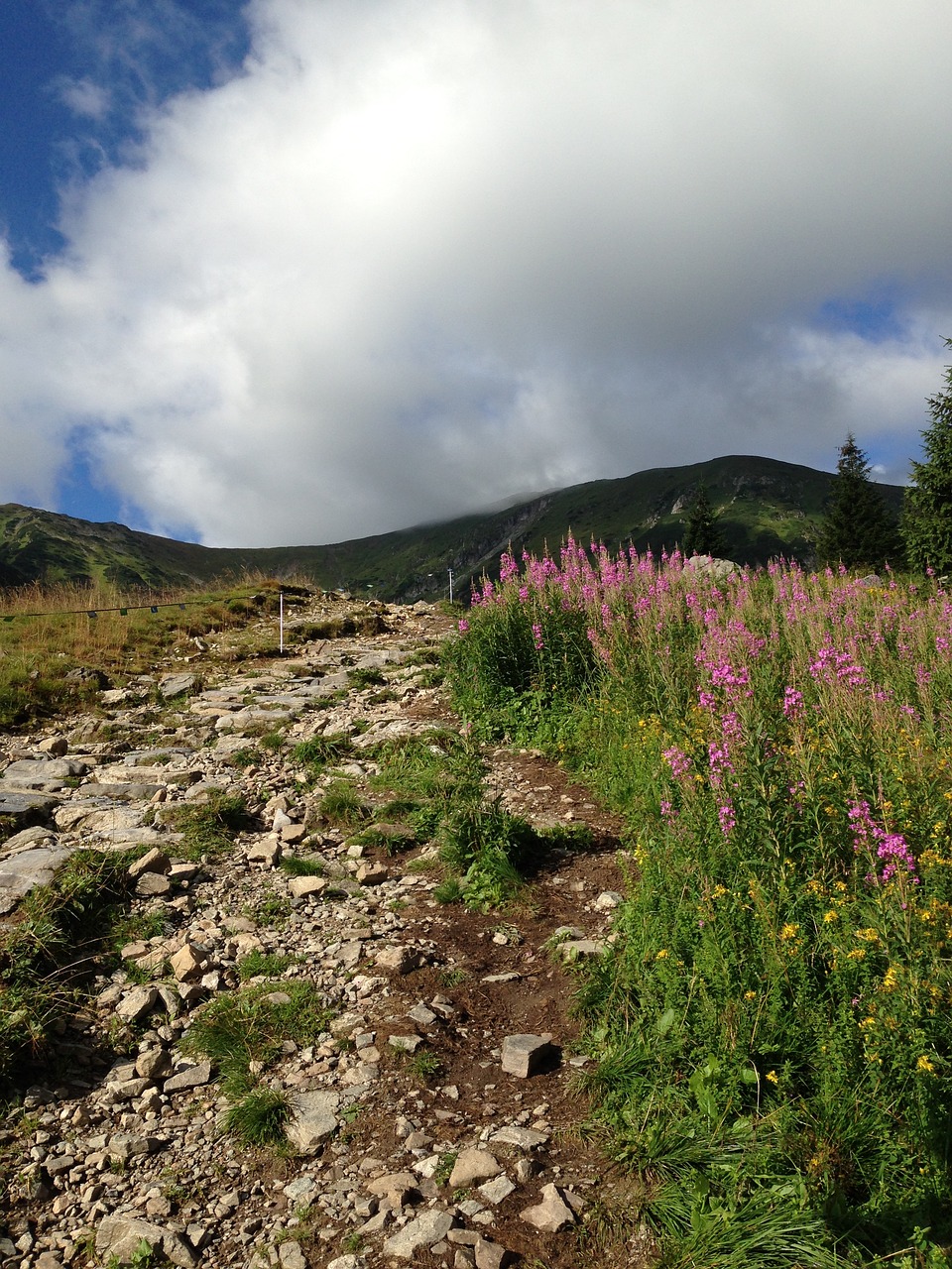 Tatry, Kalnai, Takas, Lenkija, Kraštovaizdis, Nemokamos Nuotraukos,  Nemokama Licenzija