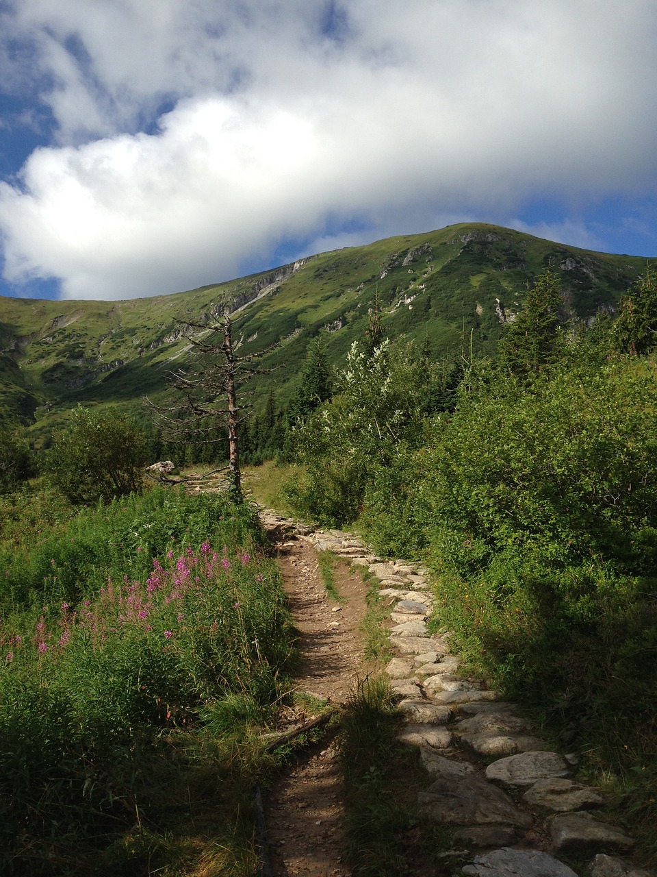 Tatry, Kalnai, Kraštovaizdis, Lenkija, Takas, Turizmas, Gamta, Nemokamos Nuotraukos,  Nemokama Licenzija