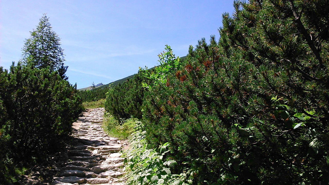 Tatry, Kalnai, Kraštovaizdis, Takas, Aukštas Tatras, Lenkija, Gamta, Nemokamos Nuotraukos,  Nemokama Licenzija