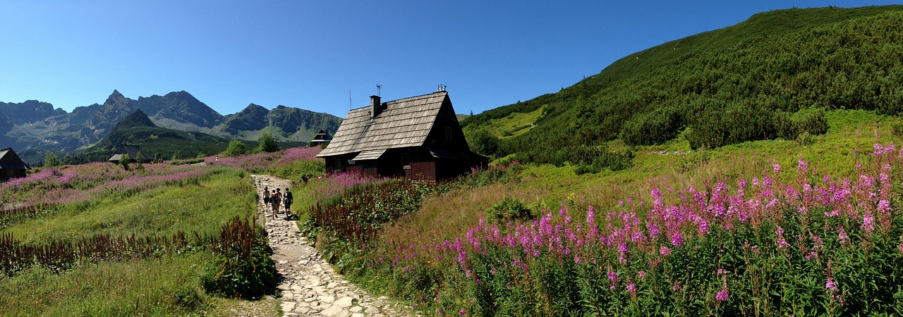 Tatry, Kalnai, Aukštas Tatras, Kraštovaizdis, Gamta, Lenkija, Kalnų Grožis, Slėnio Gąsiennicowa, Lenkų Tatros, Nacionalinis Parkas