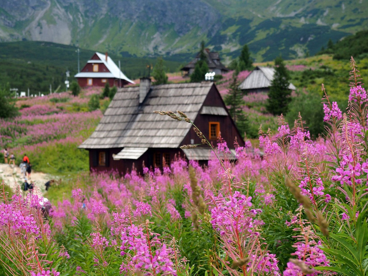 Tatry, Hala Gąsienicowa, Nacionalinis Parkas, Gamta, Aukštas Tatras, Lenkų Tatros, Kraštovaizdis, Jaunimas, Kalnų Galia, Žygių Takas