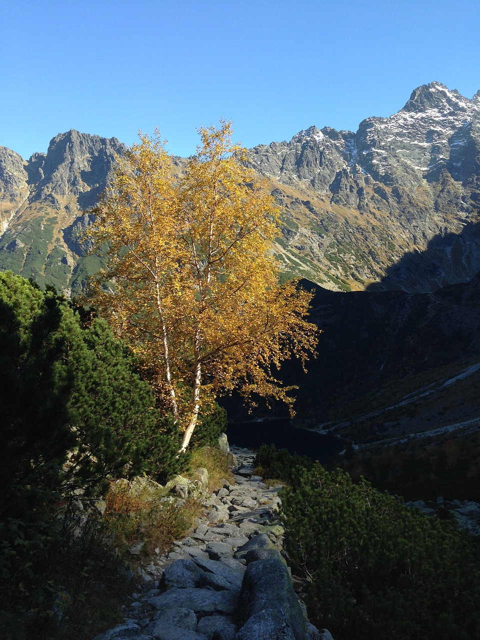 Tatry, Ruduo, Kalnai, Lenkija, Aukštas Tatras, Kalnų Grožis, Nacionalinis Parkas, Rudens Kraštovaizdis, Rudens Auksas, Nemokamos Nuotraukos