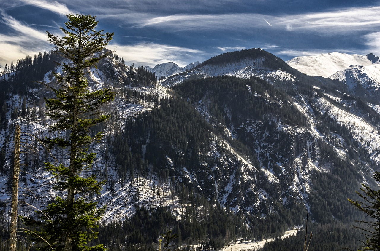 Tatry,  Sniegas,  Kalnai,  Žiema,  Be Honoraro Mokesčio, Nemokamos Nuotraukos,  Nemokama Licenzija