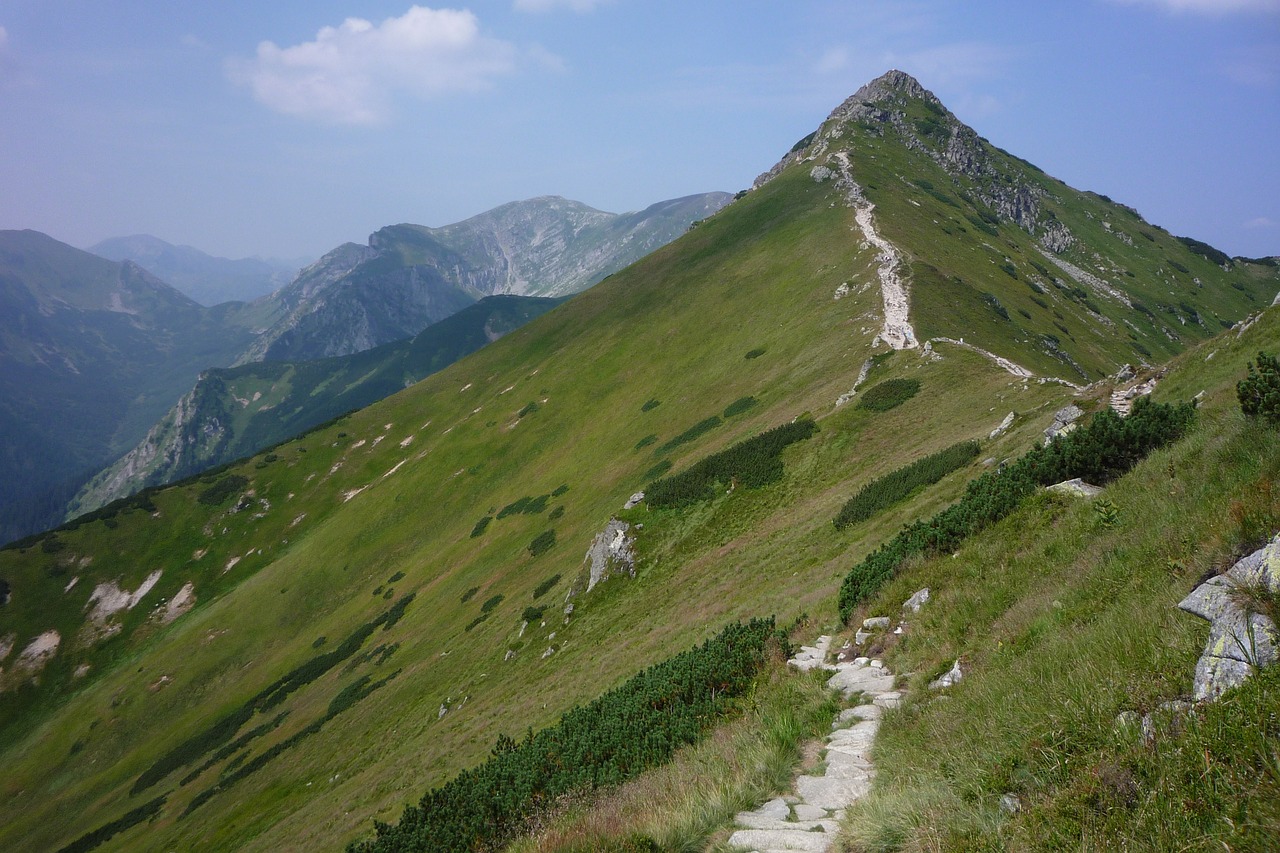 Tatry,  Lenkija,  Kalnai,  Kraštovaizdis,  Pobūdį,  Vaizdas Iš Viršaus,  Lakas Tatrai,  Kalnų,  Top,  Peržiūrėti