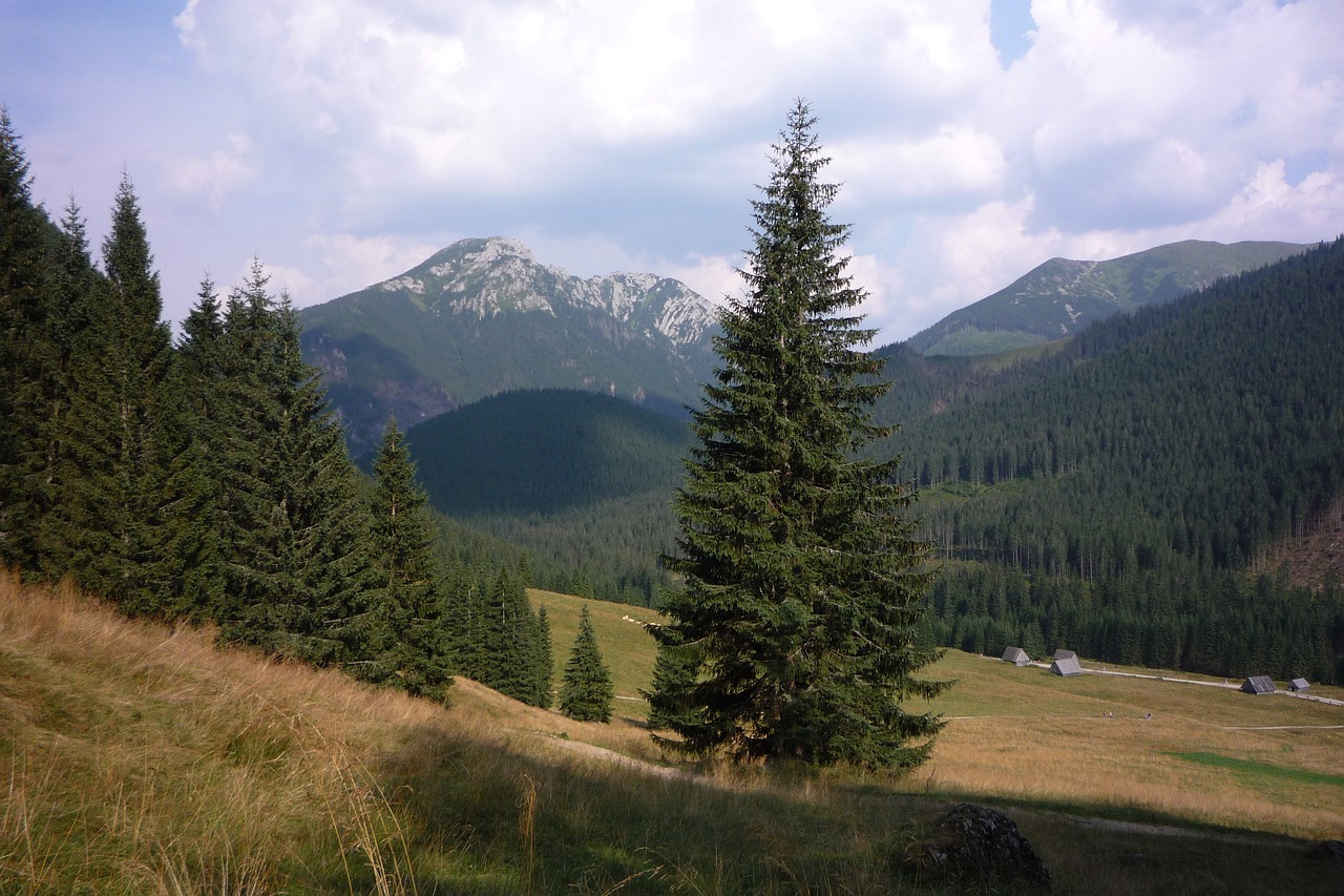 Tatry,  Lenkija,  Kalnai,  Kraštovaizdis,  Pobūdį,  Nacionalinis Parkas,  Lakas Tatrai,  Turizmas,  Panorama,  Pėsčiųjų Takai
