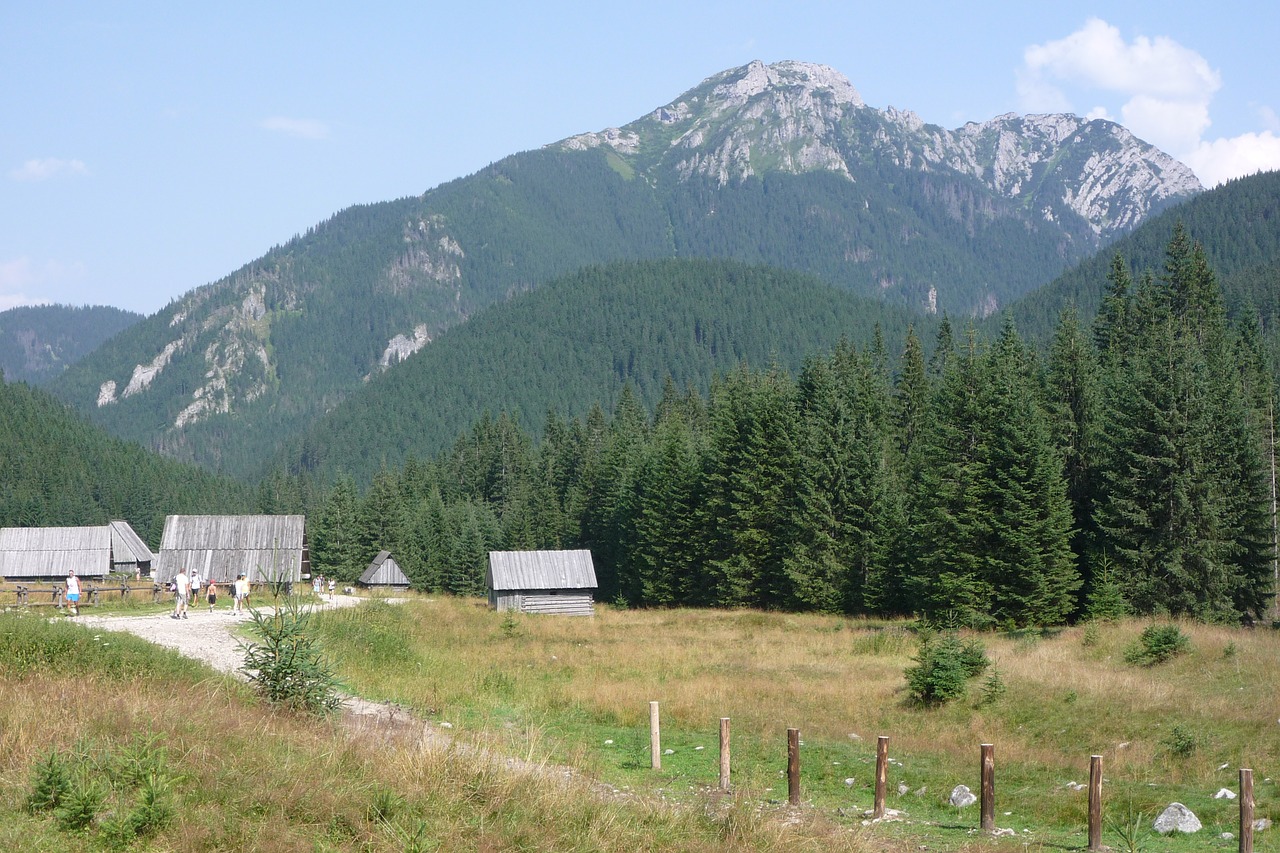 Tatry,  Lenkija,  Kalnai,  Kraštovaizdis,  Pobūdį,  Nacionalinis Parkas,  Lakas Tatrai,  Turizmas,  Panorama,  Pėsčiųjų Takai