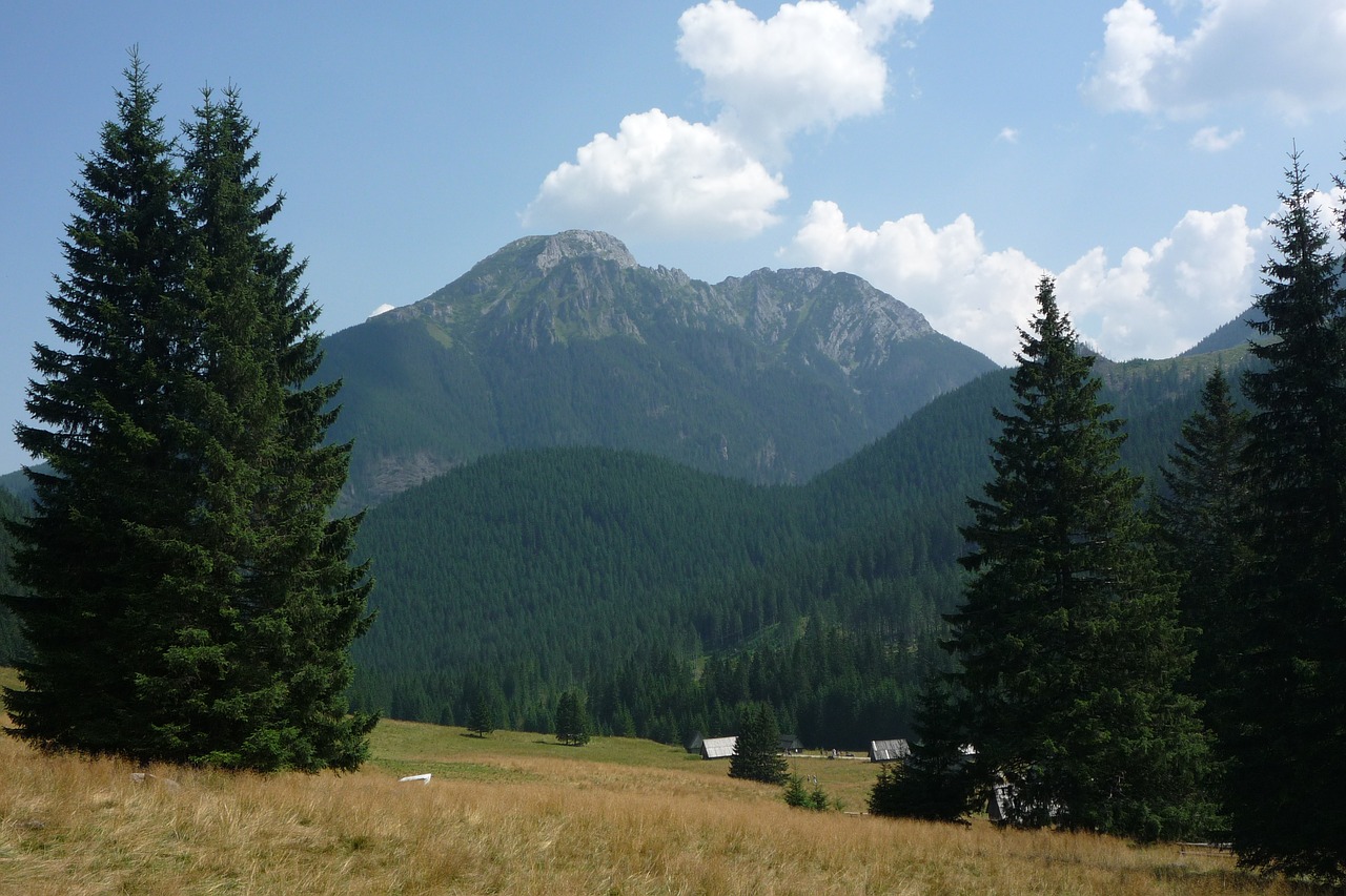 Tatry,  Lenkija,  Kalnai,  Kraštovaizdis,  Pobūdį,  Nacionalinis Parkas,  Lakas Tatrai,  Turizmas,  Panorama,  Pėsčiųjų Takai