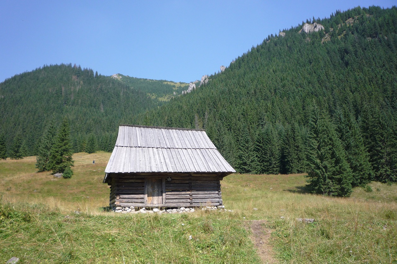 Tatry,  Lenkija,  Kalnai,  Kraštovaizdis,  Pobūdį,  Nacionalinis Parkas,  Lakas Tatrai,  Turizmas,  Panorama,  Pėsčiųjų Takai