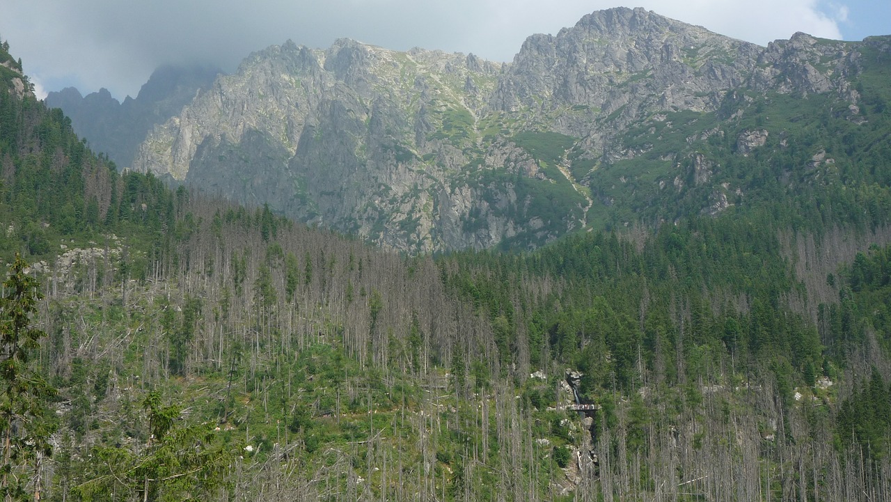 Tatry,  Kalnai,  Kraštovaizdis,  Pobūdį,  Slovakija,  Debesys,  Dangus,  Medis,  Etapas,  Miškas