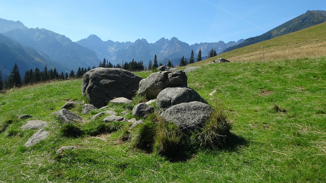 Tatry,  Kalnai,  Rusinowa Rąstai,  Kraštovaizdis,  Pobūdį,  Lenkija,  Turizmas,  Lapai, Nemokamos Nuotraukos,  Nemokama Licenzija