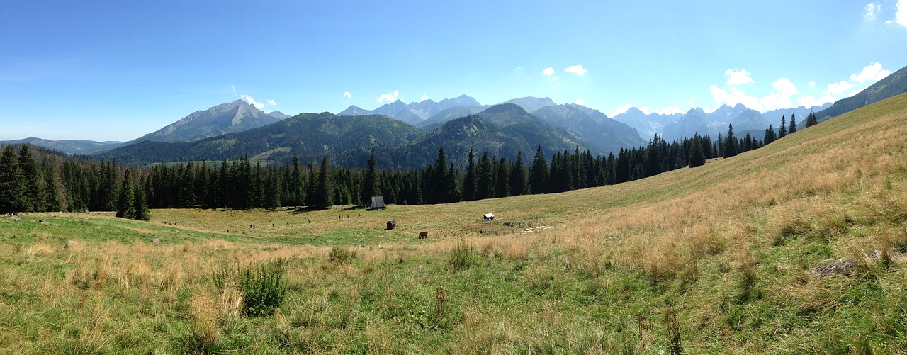 Tatry,  Kalnai,  Rusinowa Rąstai,  Kraštovaizdis,  Pobūdį,  Lenkija,  Turizmas,  Viršūnes,  Ramybė,  Šventė