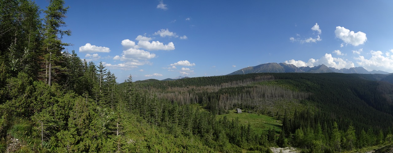 Tatry,  Kalnai,  Kraštovaizdis,  Turizmas,  Lenkija,  Pobūdį,  Viršūnes,  Panorama, Nemokamos Nuotraukos,  Nemokama Licenzija