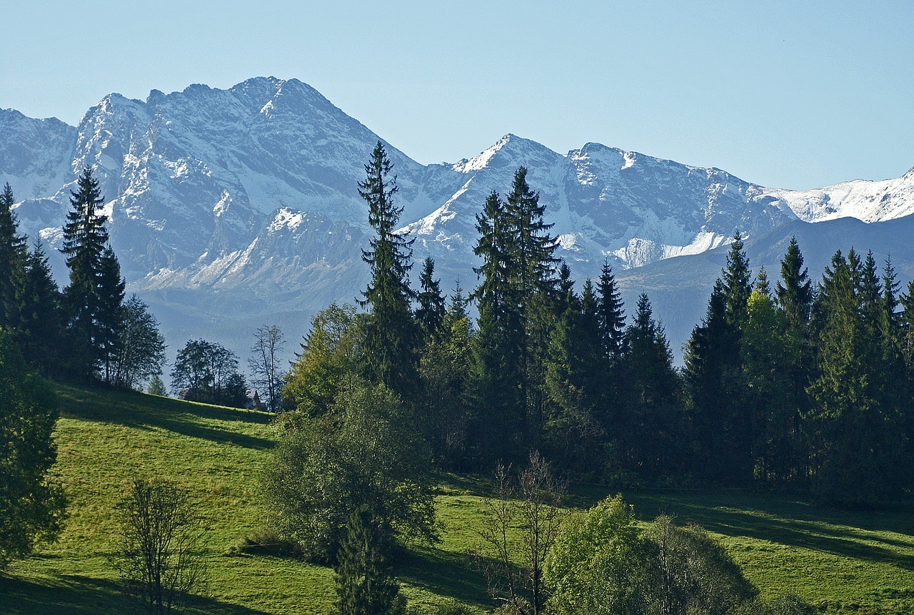 Tatry, Aukštas Tatras, Pieva, Miškas, Kraštovaizdis, Gamta, Medis, Ryte, Saulėtekis, Kalnai