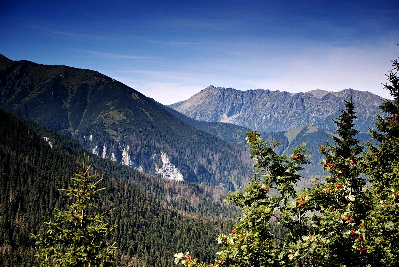 Tatry, Kalnai, Aukštas Tatras, Vaizdas, Dangus, Lenkija, Medis, Didelis Vaizdas, Gamta, Viršūnės