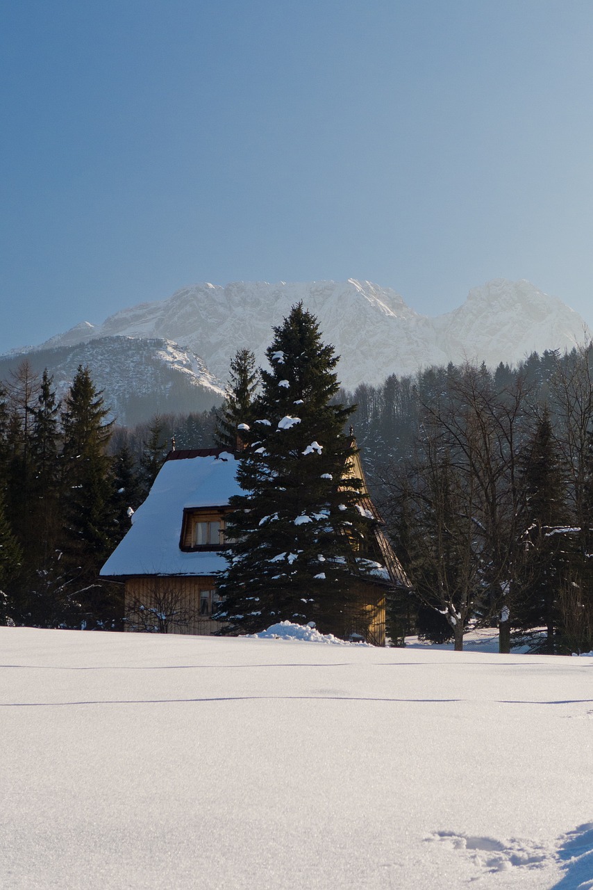 Tatry, Kalnai, Žiema, Vaizdas, Namas, Miškas, Sniegas, Kraštovaizdis, Žiemą Kalnuose, Nemokamos Nuotraukos