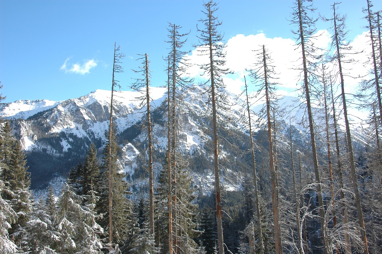 Tatry, Žiema, Kalnai, Nemokamos Nuotraukos,  Nemokama Licenzija