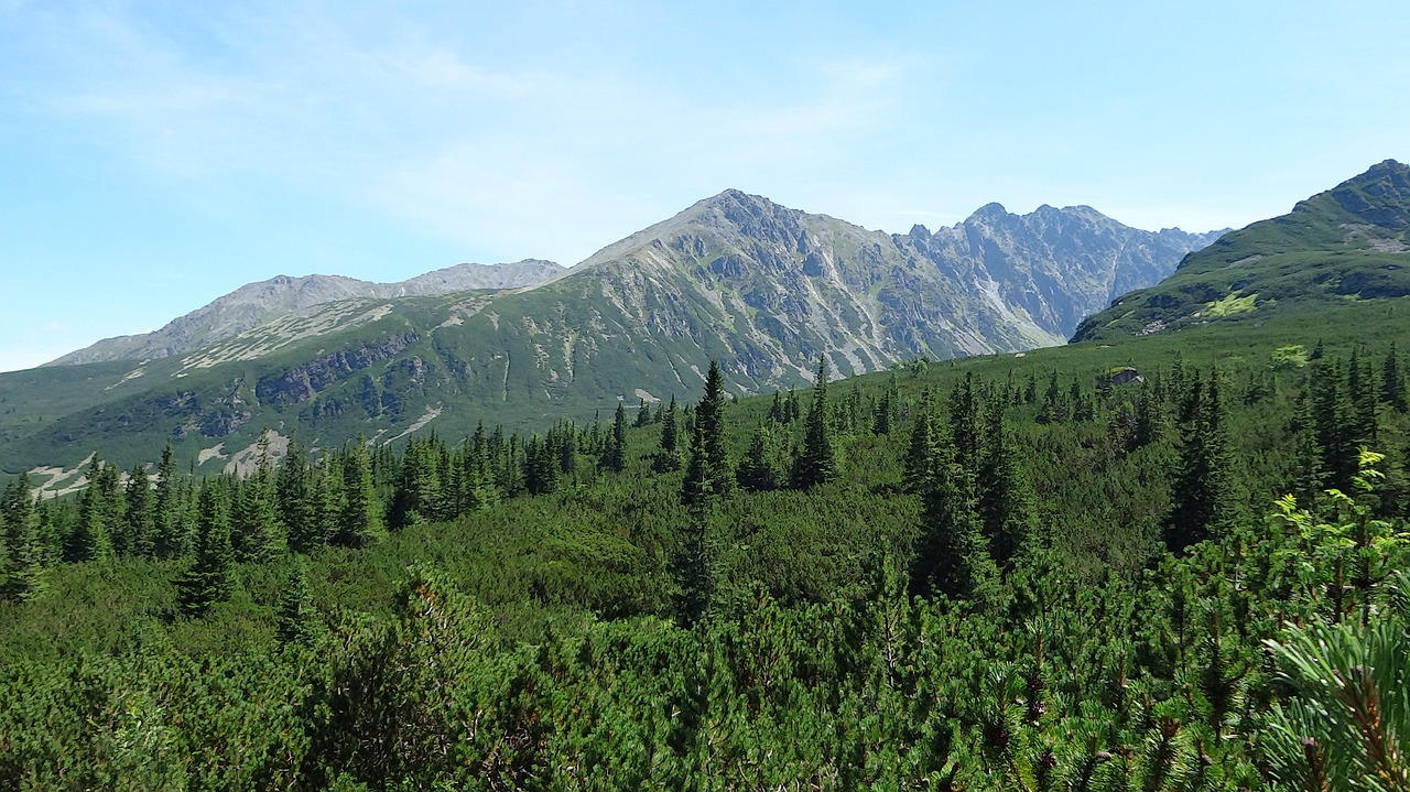 Tatry, Lenkija, Kalnai, Kraštovaizdis, Gamta, Nemokamos Nuotraukos,  Nemokama Licenzija