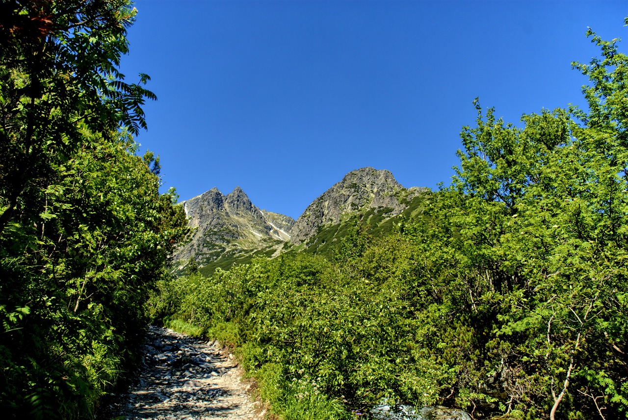 Tatry, Slovakija, Kraštovaizdis, Vaizdas Iš Viršaus, Kalnai, Vaizdas, Gamta, Kalnas, Dangus, Ėrienos Viršūnių Susitikimas