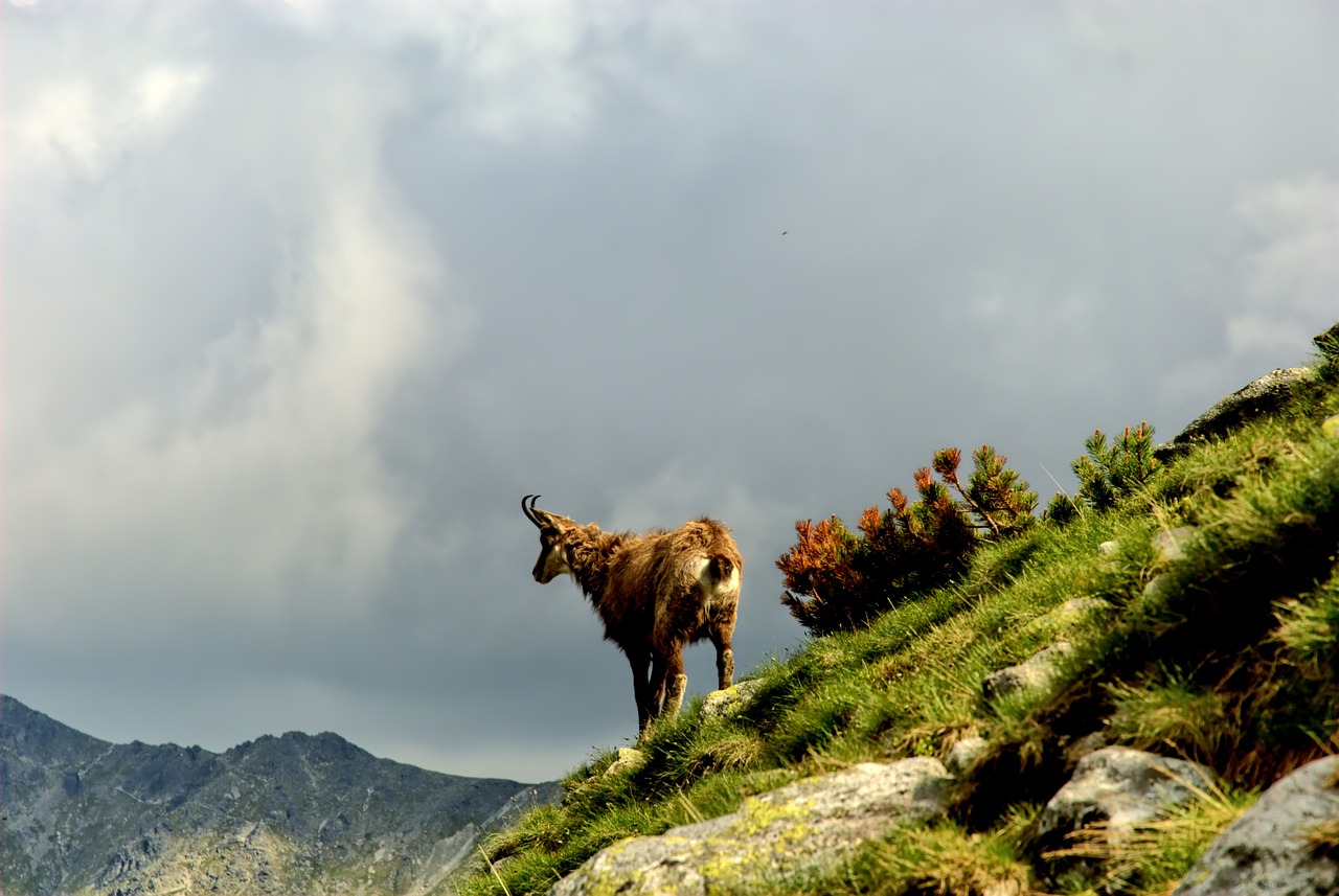 Tatry, Slovakija, Kraštovaizdis, Vaizdas Iš Viršaus, Kalnai, Vaizdas, Gamta, Kalnas, Dangus, Ėrienos Viršūnių Susitikimas