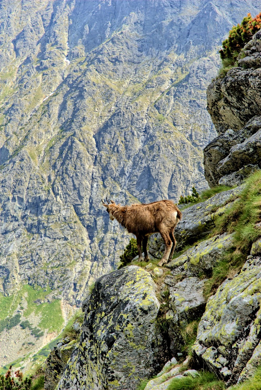 Tatry, Slovakija, Kraštovaizdis, Vaizdas Iš Viršaus, Kalnai, Vaizdas, Gamta, Kalnas, Dangus, Ėrienos Viršūnių Susitikimas