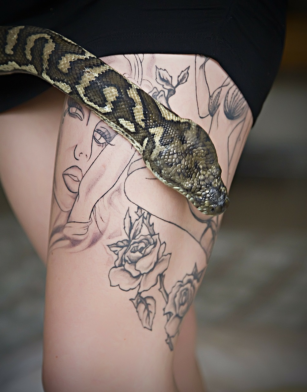 Tatuiruotė, Gyvatė, Python, Gyvatė Gyvatė, Pythoninae, Gyvūnas, Nemokamos Nuotraukos,  Nemokama Licenzija