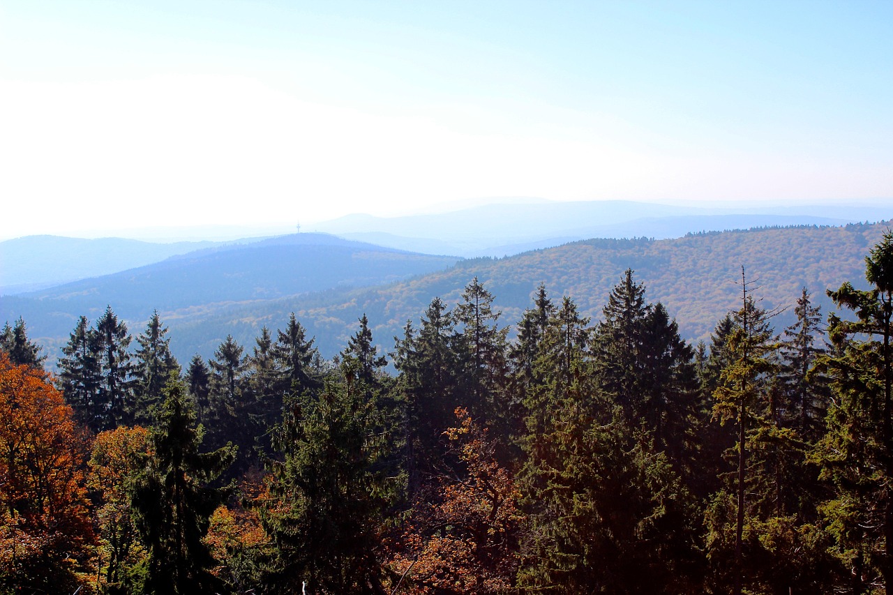 Taunus, Kalnai, Ruduo, Miškas, Rudens Nuotaika, Kraštovaizdis, Medžiai, Nemokamos Nuotraukos,  Nemokama Licenzija