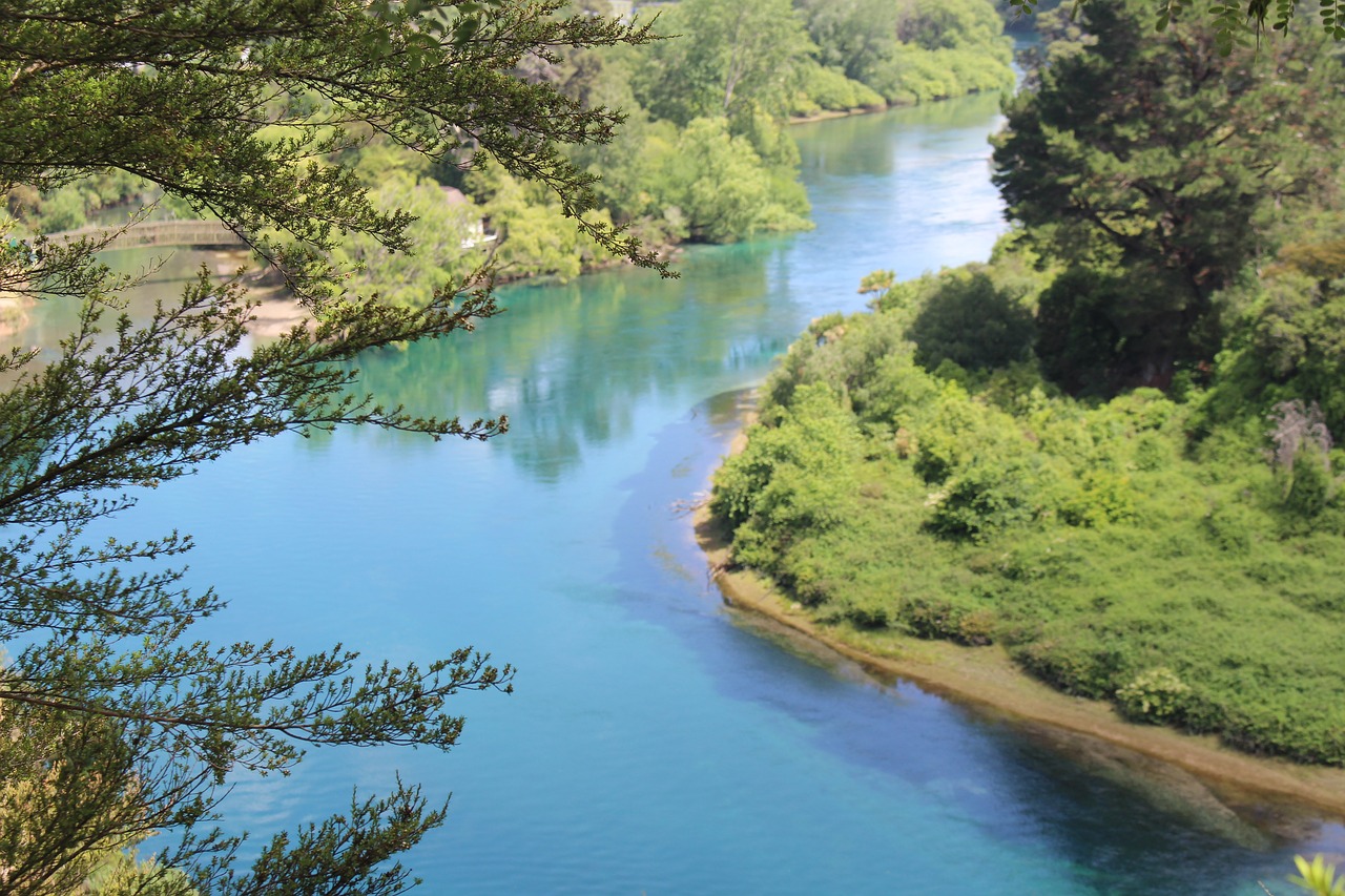 Taupo, Naujoji Zelandija, Šiaurinė Sala, Upė, Kraštovaizdis, Žalias, Gamta, Vanduo, Miškas, Kelionė