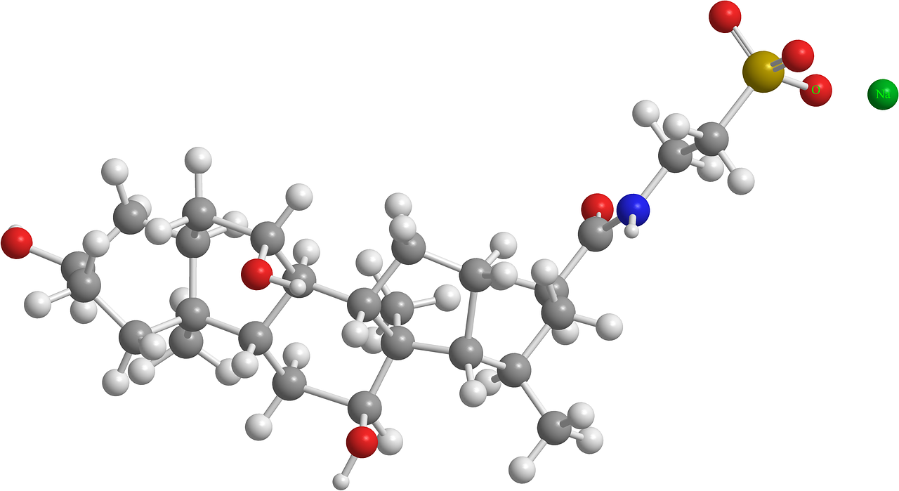 Natrio Taurocholatas, Organinė Chemija, Molekulės, 3D, Nemokamos Nuotraukos,  Nemokama Licenzija