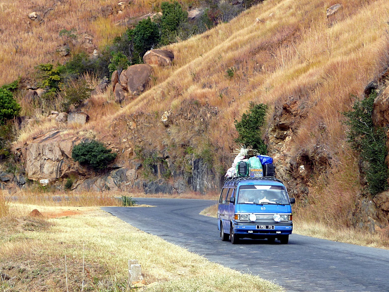 Taksi, Krūmas, Madagaskaras, Nemokamos Nuotraukos,  Nemokama Licenzija