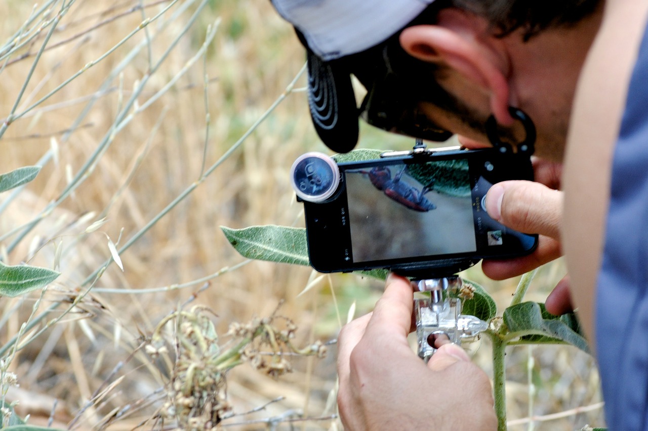 Technologija, Fotoaparatas, Iš Arti, Fotografija, Fotografas, Nemokamos Nuotraukos,  Nemokama Licenzija