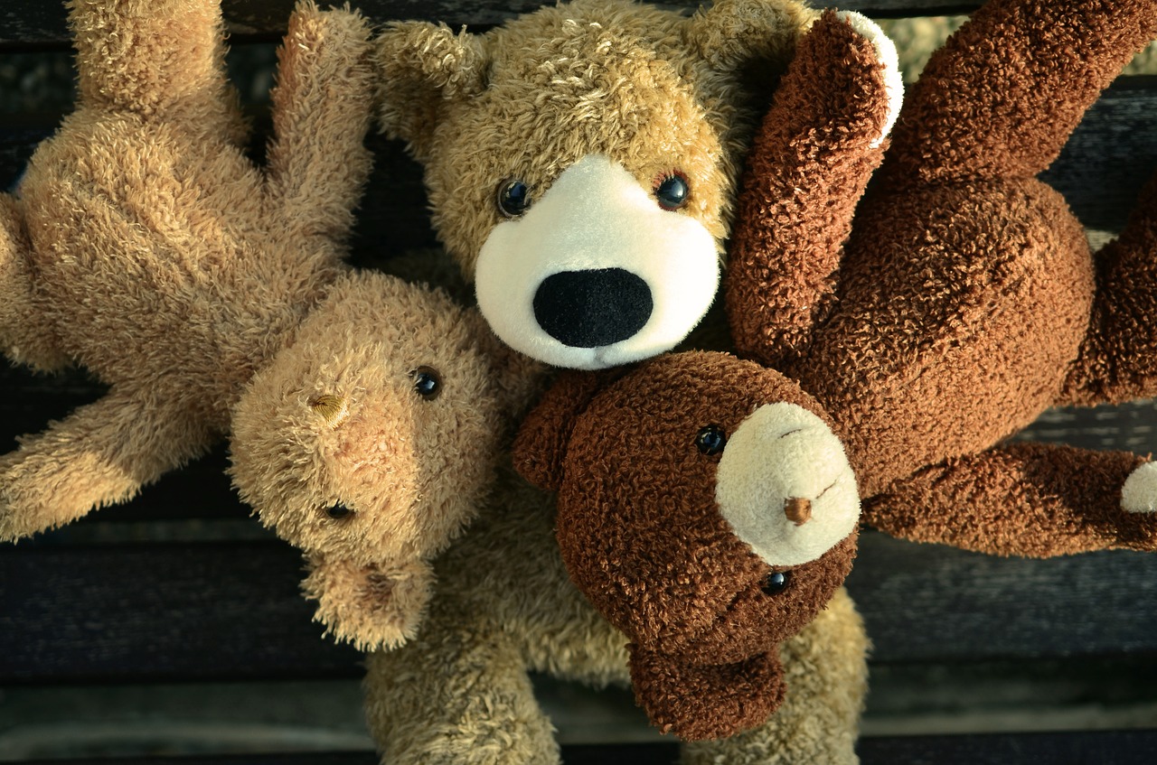 Teddy, Meškiukas, Draugai, Draugai 4 Kada Nors, Minkšti Žaislai, Minkštas Žaislas, Neša, Iškamša, Turėti, Pasinerti