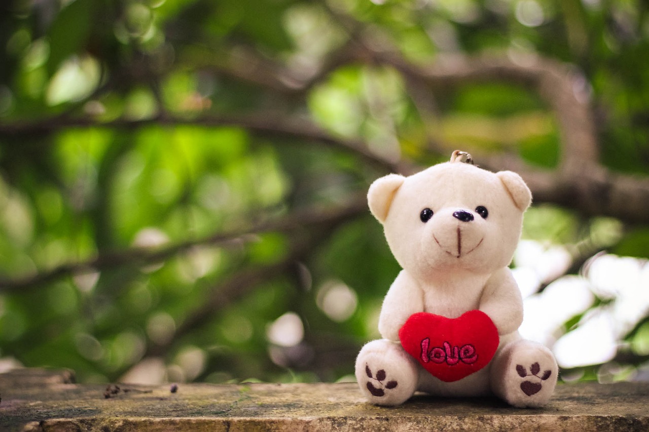 Teddy, Bokeh, Meilė, Nemokamos Nuotraukos,  Nemokama Licenzija