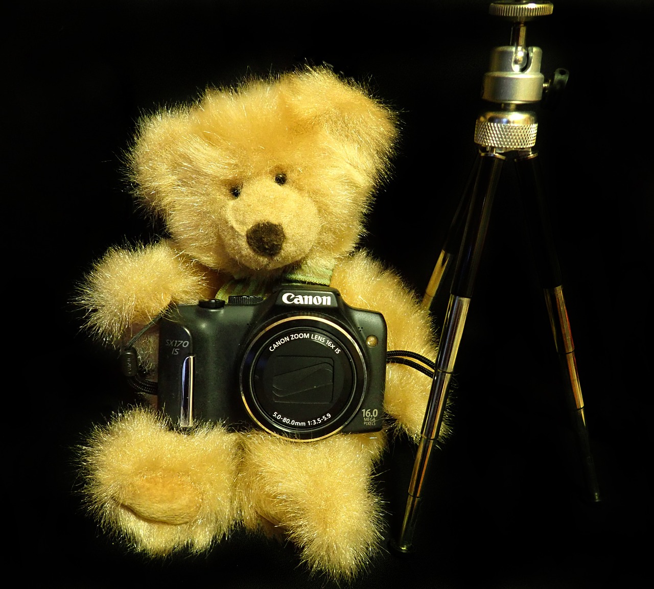 Teddy,  Fotografijos,  Žaislas,  Mielas,  Kamera,  Trikojis, Nemokamos Nuotraukos,  Nemokama Licenzija
