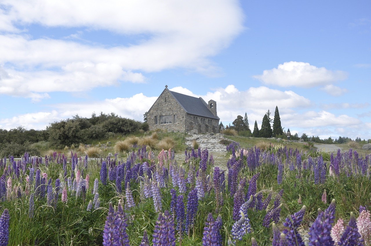 Tekapo, Naujoji Zelandija, Bažnyčia, Lupinai, Akmens Bažnyčia, Gėlės, Grazi Bažnyčia, Vestuvės, Bažnyčia Ant Kalvos, Nemokamos Nuotraukos