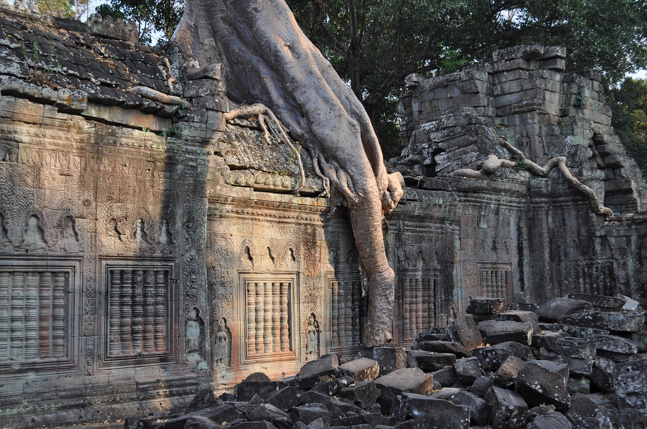 Šventykla, Sugadinti, Medžio Šaknis, Angkor Wat Asia, Nemokamos Nuotraukos,  Nemokama Licenzija