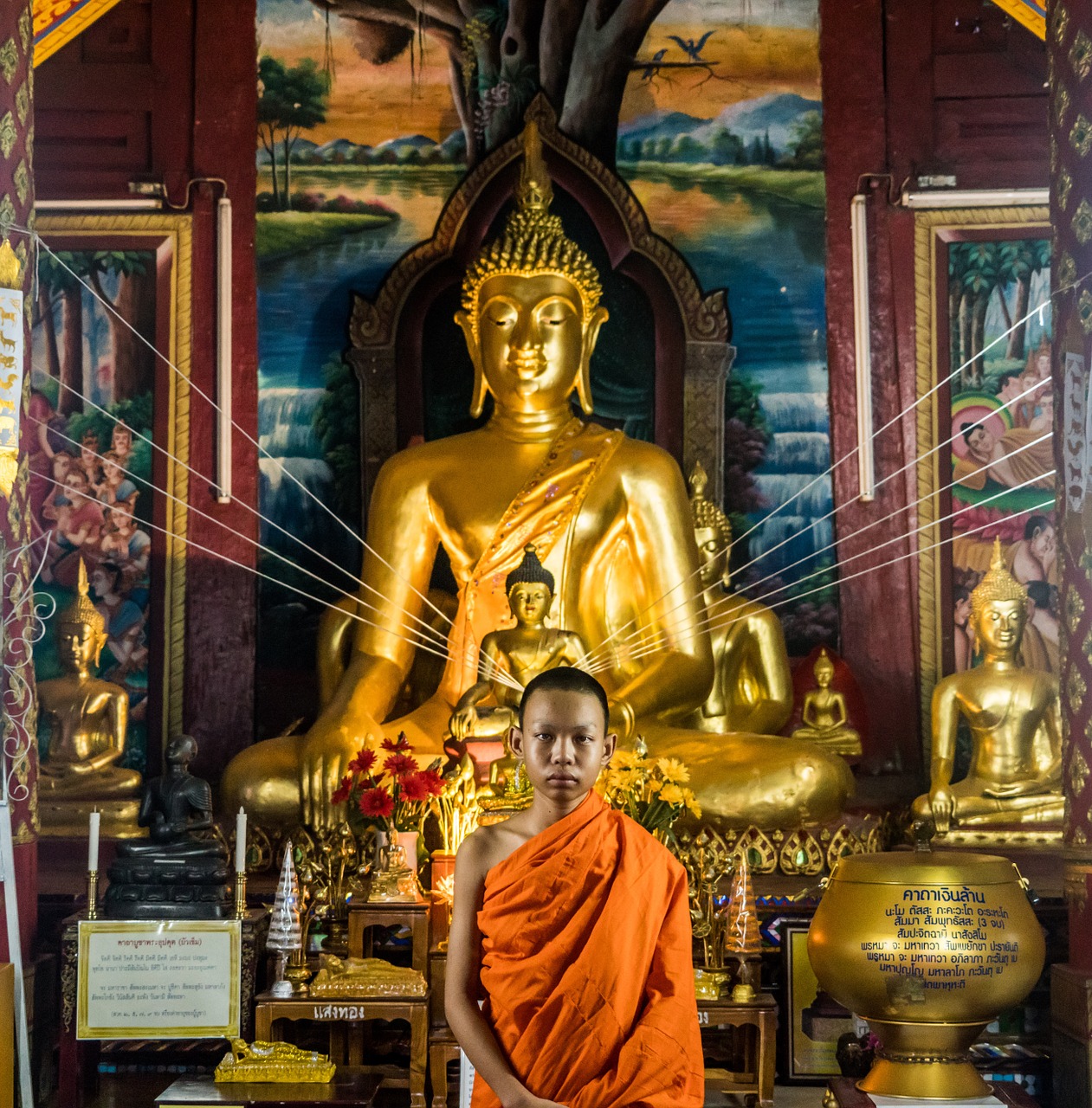Šventykla, Chiang Mai, Vienuolis, Jaunas, Oranžinė Apranga, Asian, Kelionė, Architektūra, Religija, Budizmas