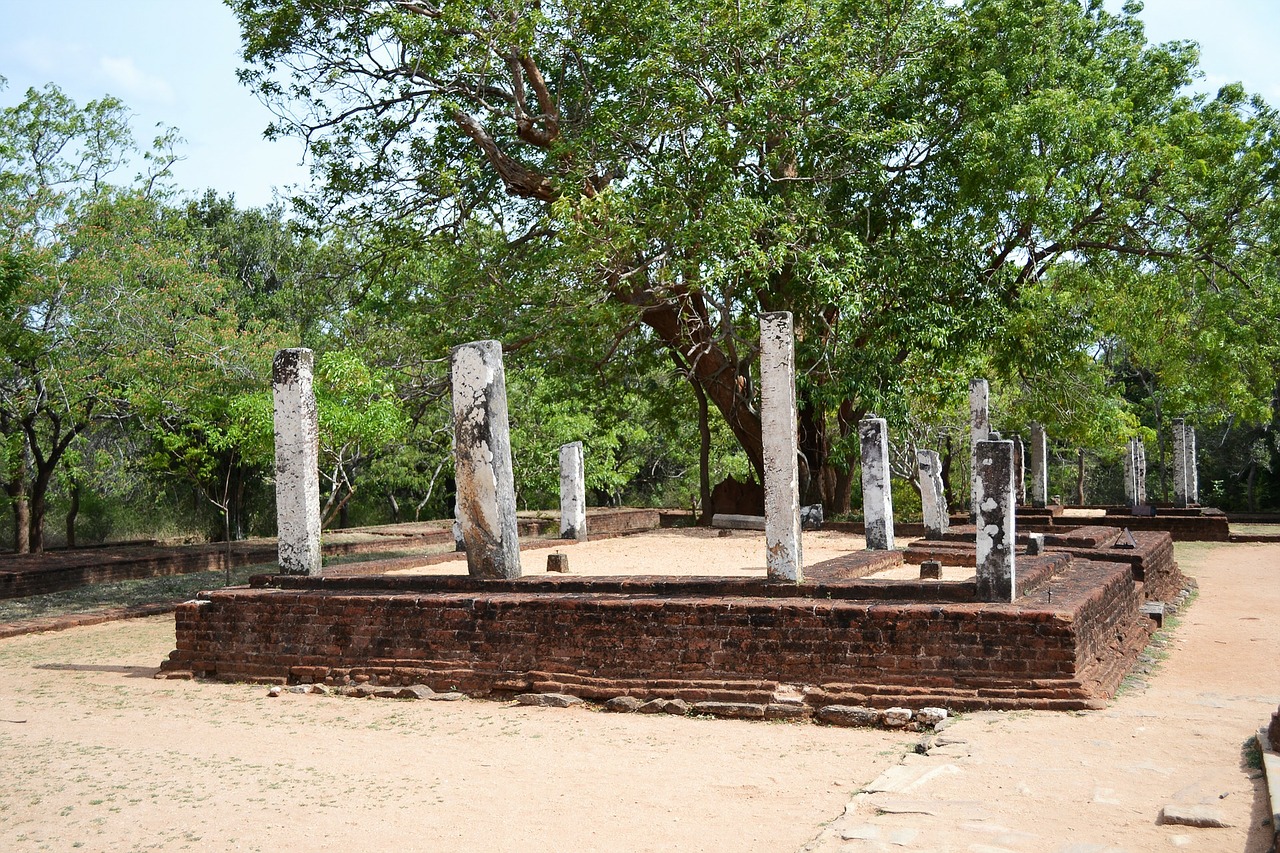 Šventykla, Senoji Šventykla, Budizmo Šventykla, Polonnaruwa, Senoviniai Griuvėsiai, Senovės, Istorinis, Karalius, Pilis, Budizmas
