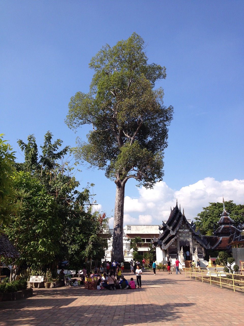 Šventykla, Chiang Mai, Buddist, Architektūra, Stupa, Chiangmai, Turizmas, Dvasingumas, Tajų, Tailandas