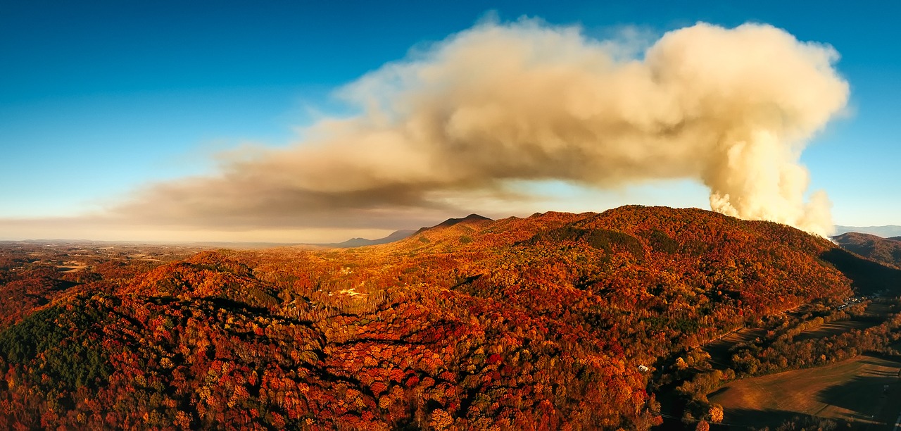 Tennessee, Dūminiai Kalnai, Kraštovaizdis, Vaizdingas, Miškas, Medžiai, Miškai, Gamta, Lauke, Šalis