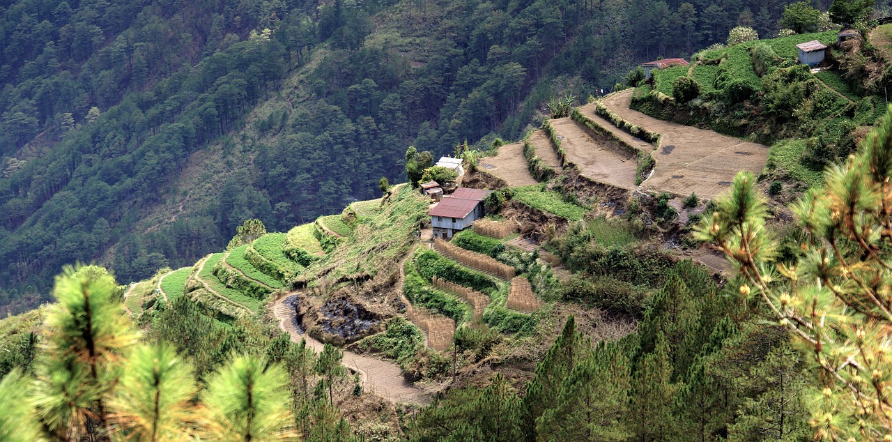 Terasos, Sagada, Filipinai, Kalnas, Kraštovaizdis, Nemokamos Nuotraukos,  Nemokama Licenzija