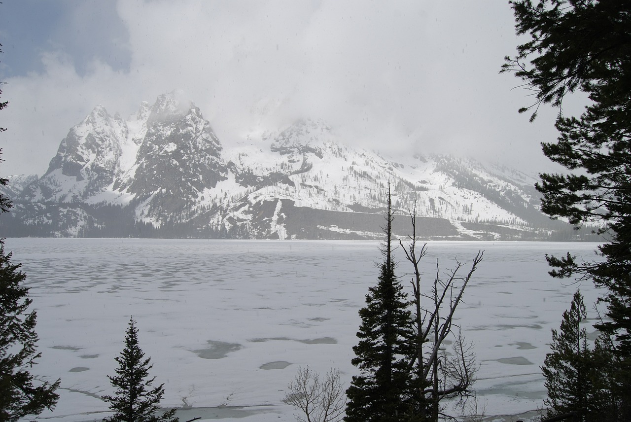 Tetonas, Didieji Tetonai, Kalnai, Vajomingas, Grand Teton Nacionalinis Parkas, Kraštovaizdis, Nemokamos Nuotraukos,  Nemokama Licenzija