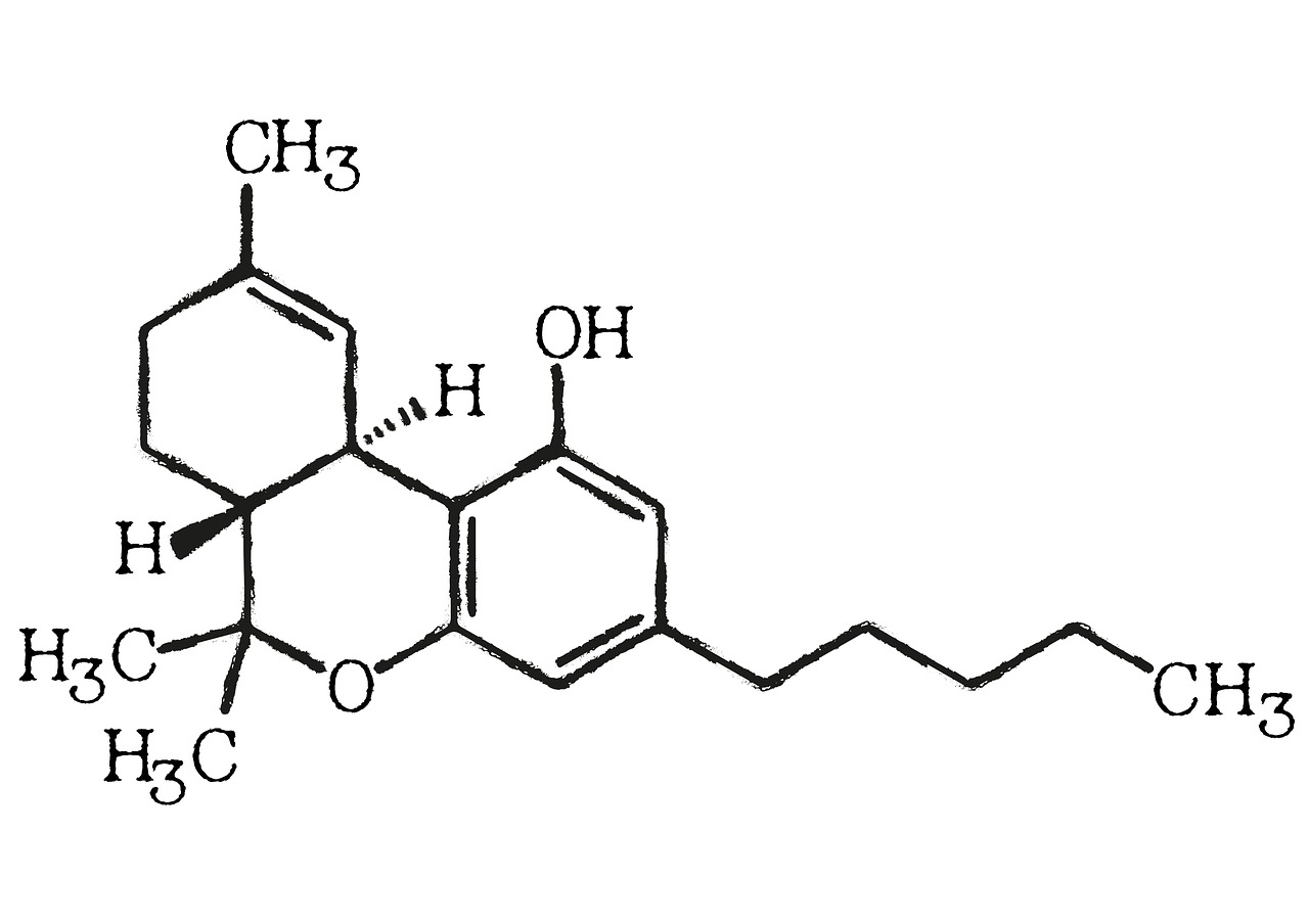 Tetrahidrokanabinolio,  Kanapių,  Marihuana,  Medicina,  Medicinos,  Alternatyvos,  Žolė,  Augalų,  Pobūdį,  Lapų